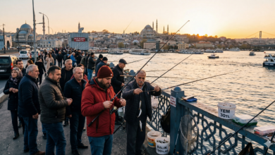 İstanbul Balık Avı 2026 Kalkan ve İstavrit Sezonu