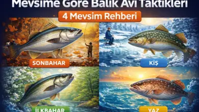 LRF balıkçılığı hakkında bilgiler - ekipman teknik ve taktikler
