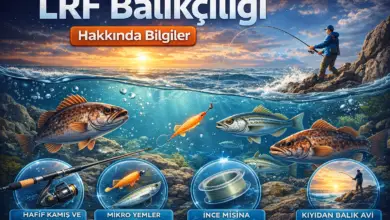 LRF balıkçılığı hakkında bilgiler - ekipman teknik ve taktikler