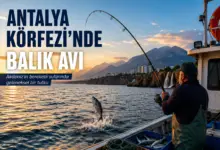 Antalya Körfezi'nde Balık Avı