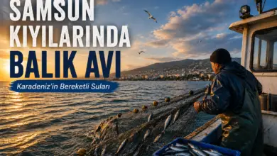 Samsun Kıyılarında Balık Avı: Karadeniz'in Bereketli Suları