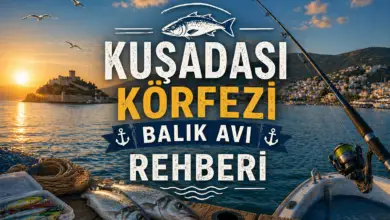 Kuşadası Körfezi Balık Avı Rehberi