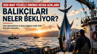2026 mavi yüzgeçli orkinos avcılığına hazırlanan Türk balıkçı teknes