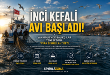 İnci kefali avı başladı: Van Gölü'nde balıkçılar yeni sezonun ilk avına çıktı