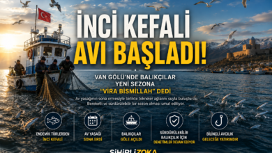 İnci kefali avı başladı: Van Gölü'nde balıkçılar yeni sezonun ilk avına çıktı