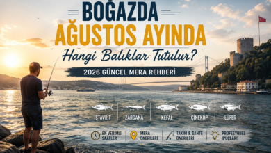 İstanbul Boğazı'nda ağustos ayında gün doğumunda spin takımıyla balık avına hazırlanan amatör balıkçı