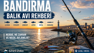 Bandırma balık avı rehberi. Gün batımında Bandırma mendireğinde spin kamışı ve balıkçılık ekipmanlarıyla hazırlanan kapak görseli.