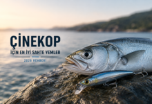 Çinekop için en iyi sahte yemler rehberi. Çinekop ve minnow sahte yem ile hazırlanan spin balıkçılığı kapak görseli.