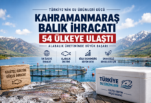 Kahramanmaraş balık ihracatı kapsamında işlenen alabalık ürünleri