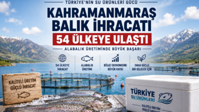 Kahramanmaraş balık ihracatı kapsamında işlenen alabalık ürünleri