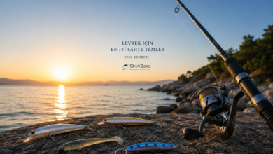 Levrek için en iyi sahte yemler rehberi. Minnow, silikon yem, pencil ve metal jig ile hazırlanan spin balıkçılığı kapak görseli.