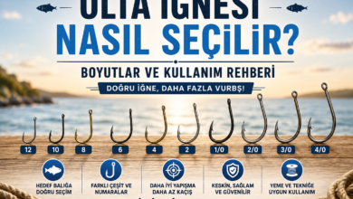 Olta iğnesi nasıl seçilir rehberinde farklı boyut ve türlerde balıkçılık iğneleri