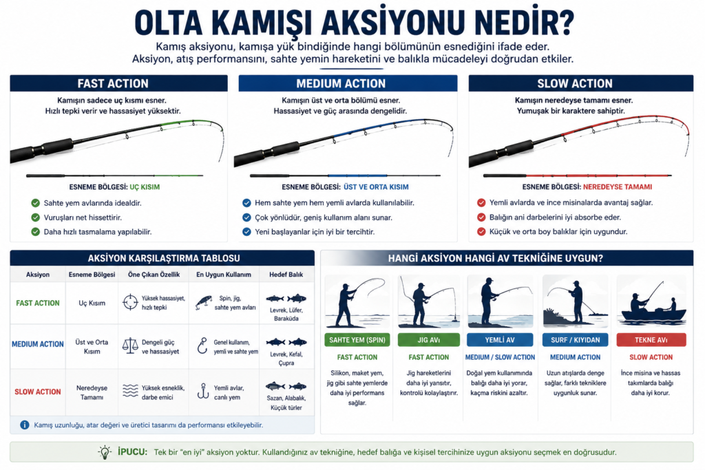 Olta kamışı aksiyonu nedir? Fast Action, Medium Action ve Slow Action kamışların farklarını gösteren infografik.