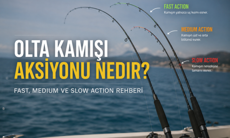 Olta kamışı aksiyonu nedir? Fast Action, Medium Action ve Slow Action kamışların farklarını gösteren infografik.