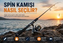 Spin kamışı nasıl seçilir? Kıyıda spin kamışı ve olta makinesi ile hazırlanan rehber görseli.