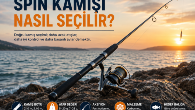 Spin kamışı nasıl seçilir? Kıyıda spin kamışı ve olta makinesi ile hazırlanan rehber görseli.