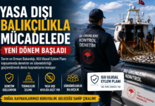 Yasa dışı balıkçılıkla mücadele kapsamında denetim yapan ekipler