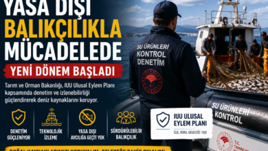 Yasa dışı balıkçılıkla mücadele kapsamında denetim yapan ekipler